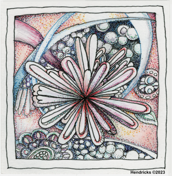 Bloom-0815-2023