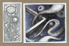 flower-space-scan