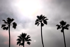 03-13- 23 Hermosa_3534-redish-sm