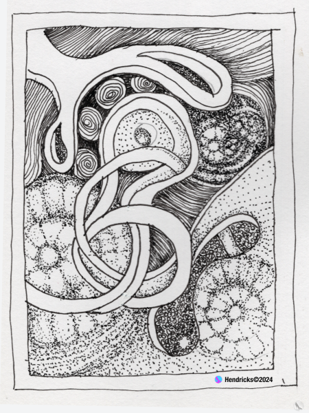 Dimensions-08172024