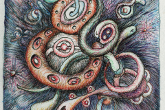 Snakes-wc-08102024
