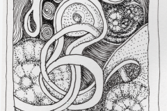 Dimensions-08172024