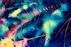 12-03-2023