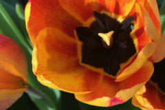 12-03-2023