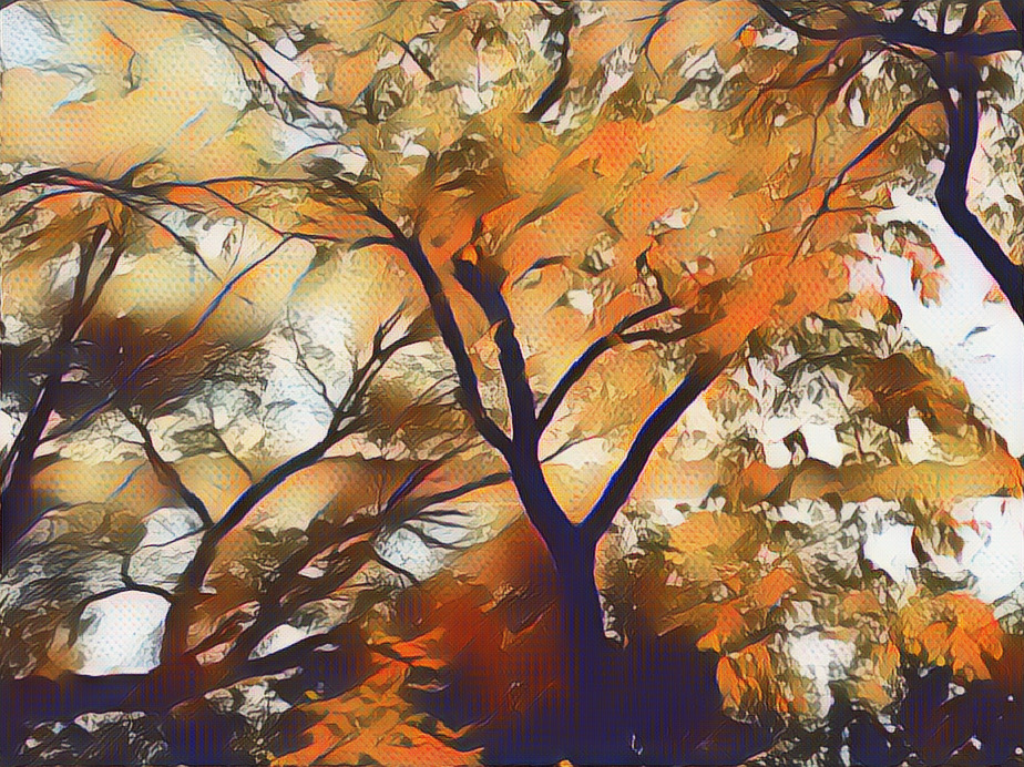 Title: October 11, 2022, 7:57 pm, Digitally Enhanced Photo, Hendricks © 2022