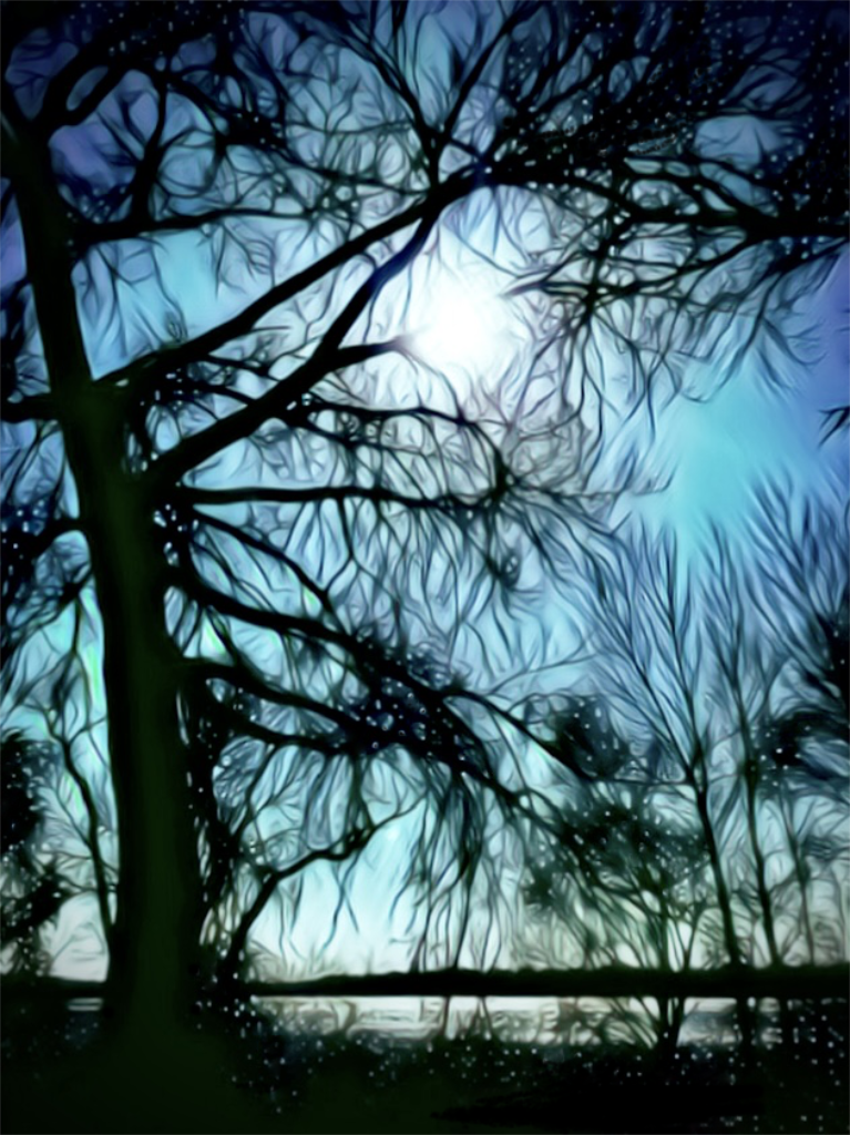 I call this image the Tunnel of Light: a sun, a tree, and a lake. Sun is brilliant coming through the branches of the tree.