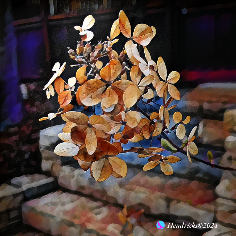 Hydrangea-0829204--Fall Walk, Bill Hendricks